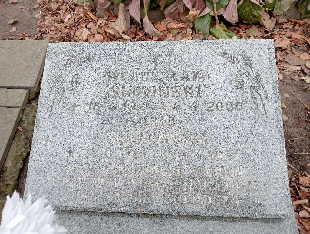 Władysław Śliwiński 0000 Baborów - Grobonet - Wyszukiwarka osób pochowanych