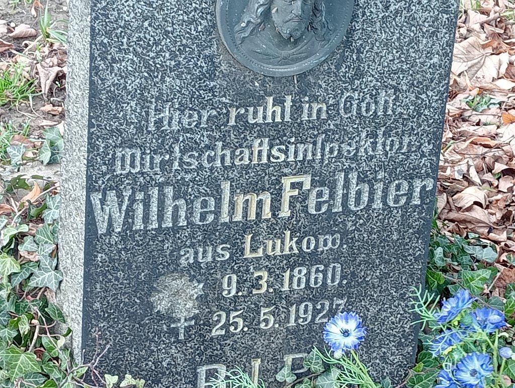Wilhelm Felbier 1860 Baborów - Grobonet - Wyszukiwarka osób pochowanych