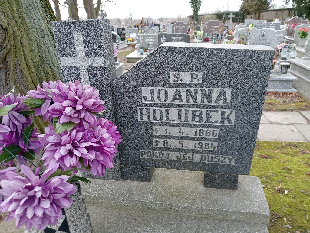 Joanna Holubek 1886 Baborów - Grobonet - Wyszukiwarka osób pochowanych