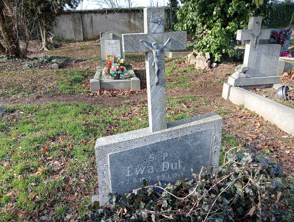 Ewa Dul 1865 Baborów - Grobonet - Wyszukiwarka osób pochowanych